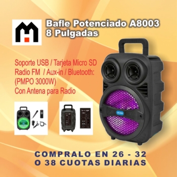 Bafle Potenciado Aliv 8003 – 8 Pulgadas